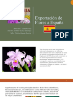 Exportación de Flores a España