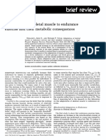 Adaptations of skeletal muscle to endurance exercise and their metabolic consequences