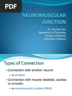 Download NEUROMUSCULAR JUNCTION by kiedd_04 SN4735452 doc pdf