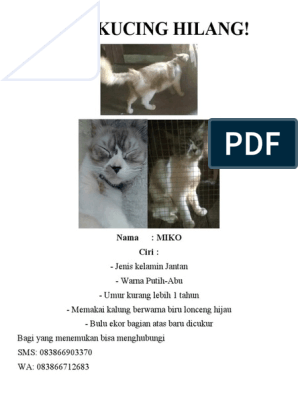 Contoh Iklan Kucing Hilang  PDF
