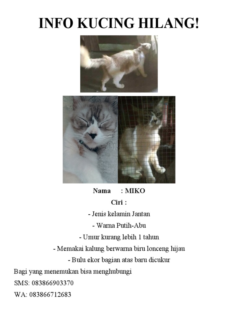 Contoh Iklan Kucing Hilang | PDF