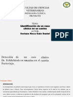 Caso Clinico Patologia GDS