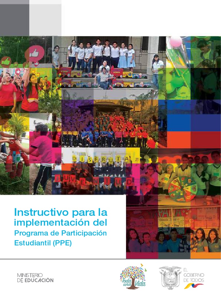 Instructivoimplementacionsierraamz (2019) Sep (002) Compressed PDF ...