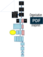 Organisation Al Structure Snapshot
