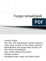 Fungsi Lemak