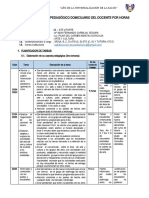 S 3 y 4 PLAN DE TRABAJO PEDAGÓGICO DOMICILIARIO PILAR MONTALVO