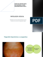 Patología Vesical