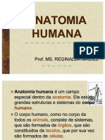 Anatomia Anatomia Humana Humana PDF