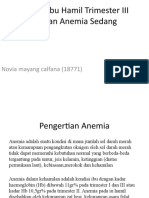 Asuhan Ibu Hamil Trimester III Dengan Anemia Sedang myg