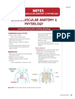Cardiovascular Anatomy & Physiology Notes