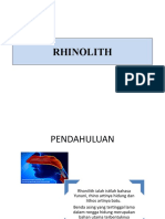 Rhinolith
