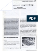 Part I. Physiology of Adipose Tissue (scan). Anna Petrukhina