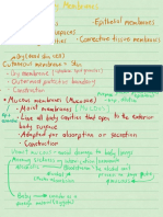 Integumentary System PDF