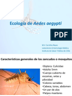 Ecología de Aedes Aegypti. C. Reyes PDF