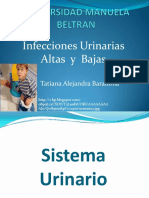 Cistitis PDF