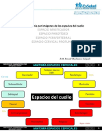 Espacios Cervicales