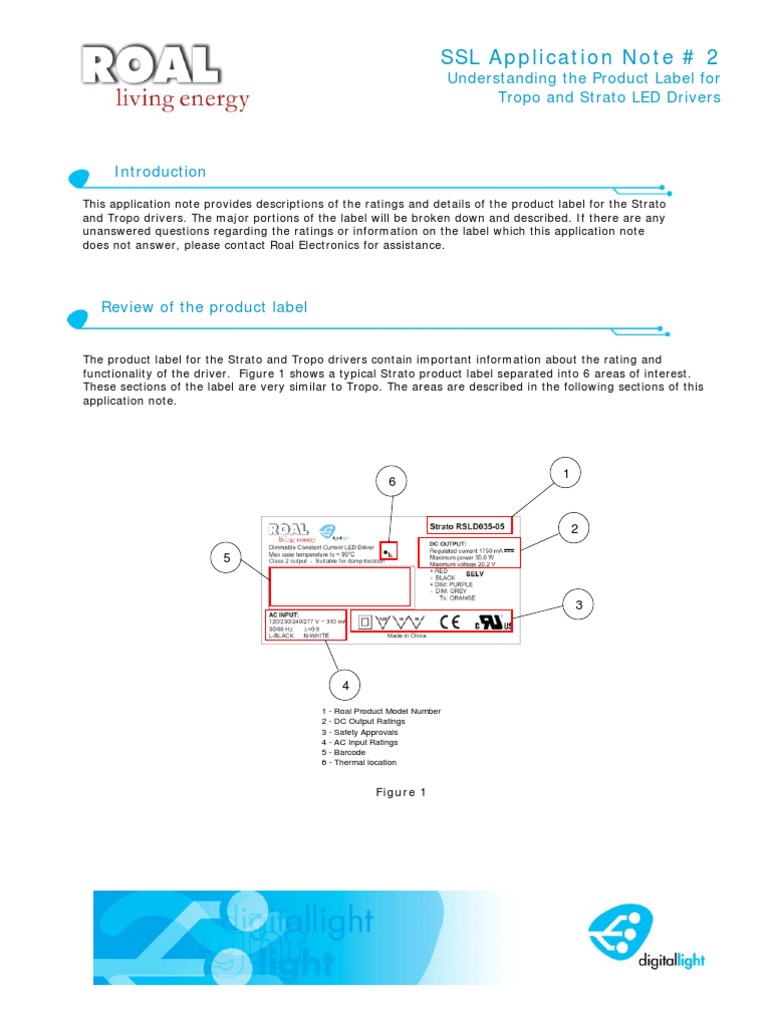 Roal LED Driver Label Guide | PDF | Information | Electronics