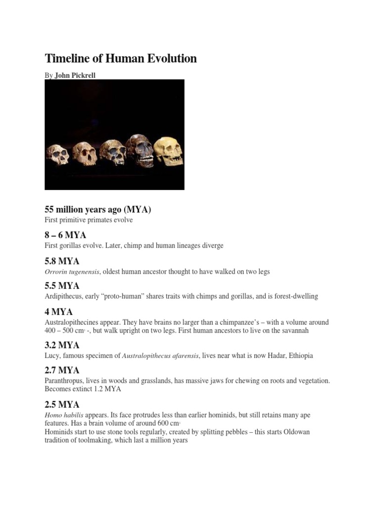 Timeline Of Human Evolution 55 Million Years Ago Mya Pdf Human