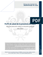 Perfil de Salud de La Provincia de Jujuy 2013