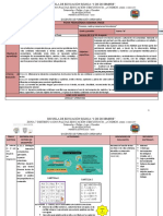 Ficha Pedagógica Semana 13va PDF