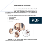 INRACRANIAL STENOSIS DAN STROKE ISKEMIK