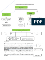 Uso de mayúsculas y puntuación en la comunicación