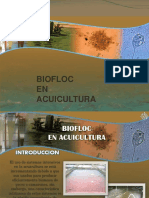 BIOFLOC PDF