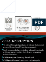 5. cell disruption.pptx
