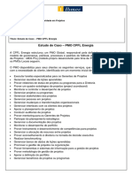 Estudo de Caso - PMO CPFL Energia