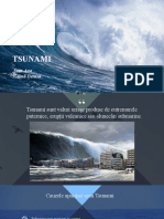 Tsunami