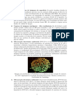 Informe 2 PDF