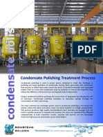 Condensate Polishing PDF