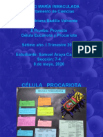 PROYECTO CIENCIAS Final