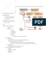 3 Nervous System