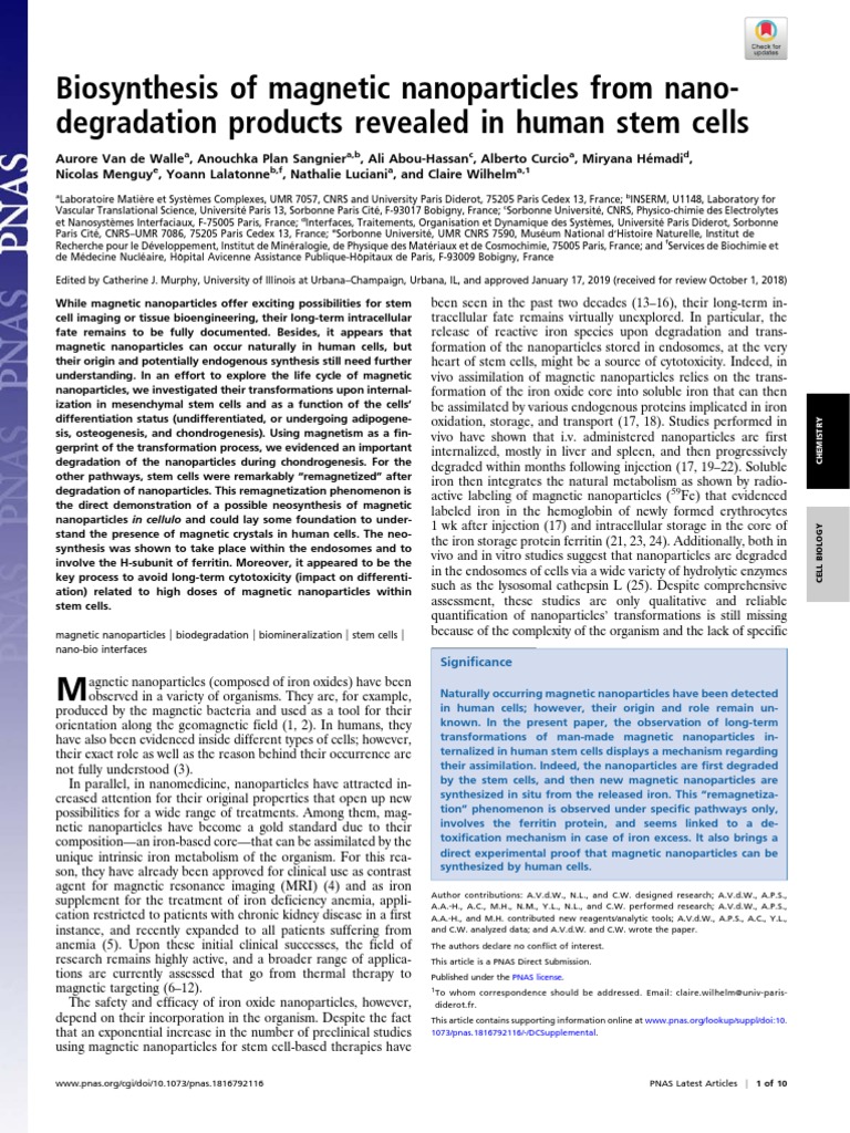 Biosynthesis of Magnetic Nanoparticles From Nanodegradation Products ...