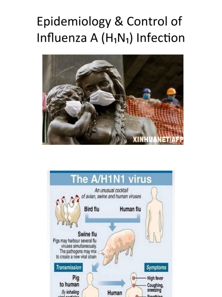 Influenza A (H1N1): Control & Safety | PDF | Influenza | Influenza A ...