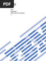 SQL Call Level Interface