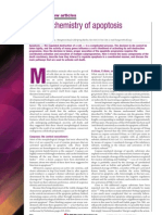 The Biochemistry of Apoptosis