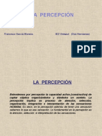 percepcion-1234261561717340-1.pdf
