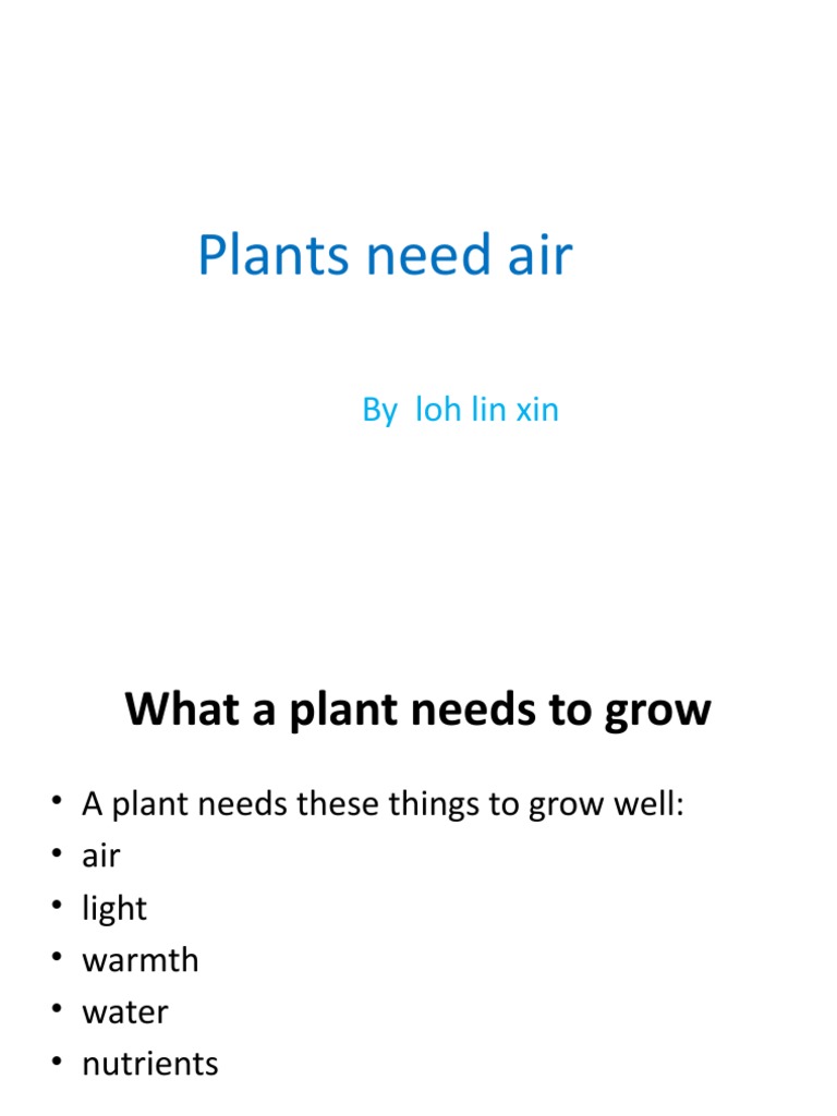 Plants Need Air by Loh Lin Xin PDF