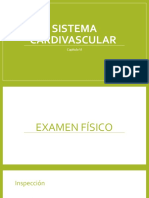 Sistema Cardivascular Equinos