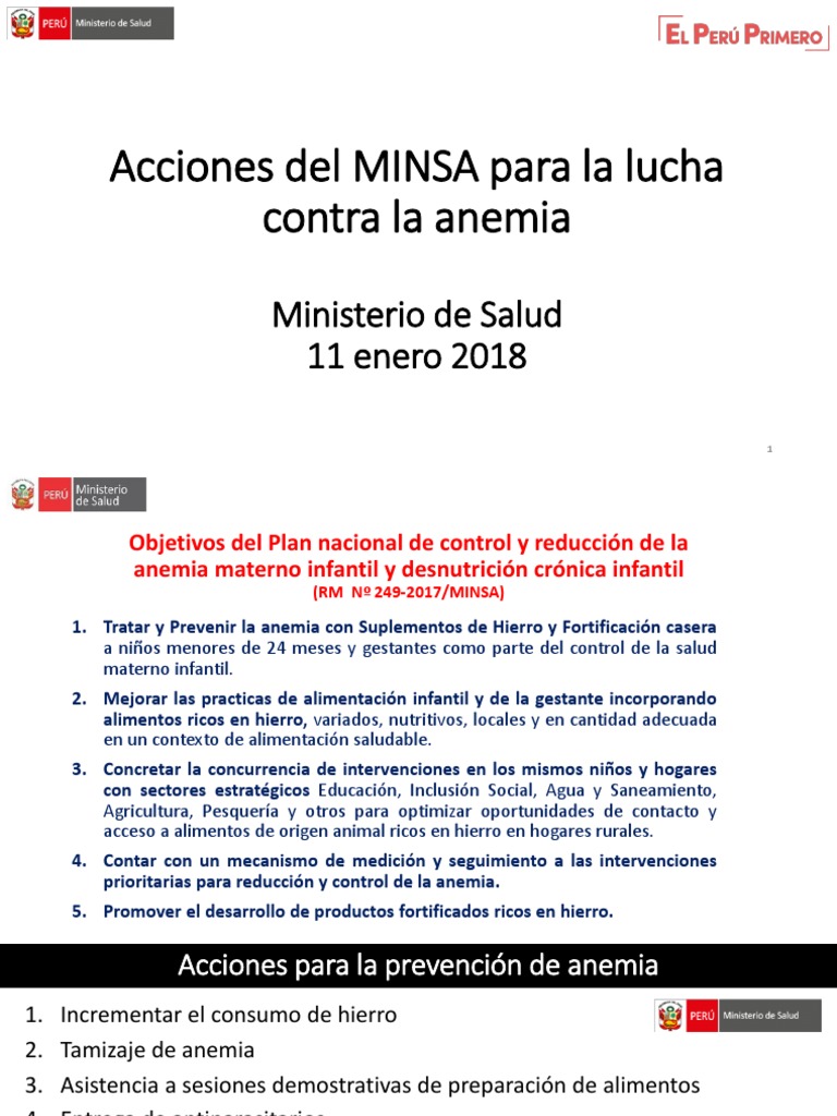 8.3 Acciones Del MINSA para La Lucha Contra La Anemia | PDF | Bienestar ...