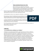 Las Empresas Agroindustriales en El Peru