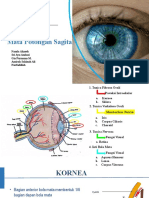 Anatomi Mata Sagital Fix