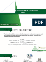 Formato Diapositivas Unimetro
