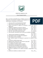 TEST DIRECTOR COMERCIAL[3922].docx