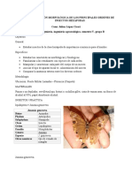 INFORME 1 - Entomologia GB