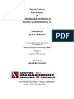 Performance Appraisal - Project Report2