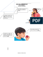 guía de ciencias naturales.Los sentidos OA 6.docx