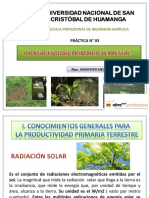 Practica 3 Productividad Primaria